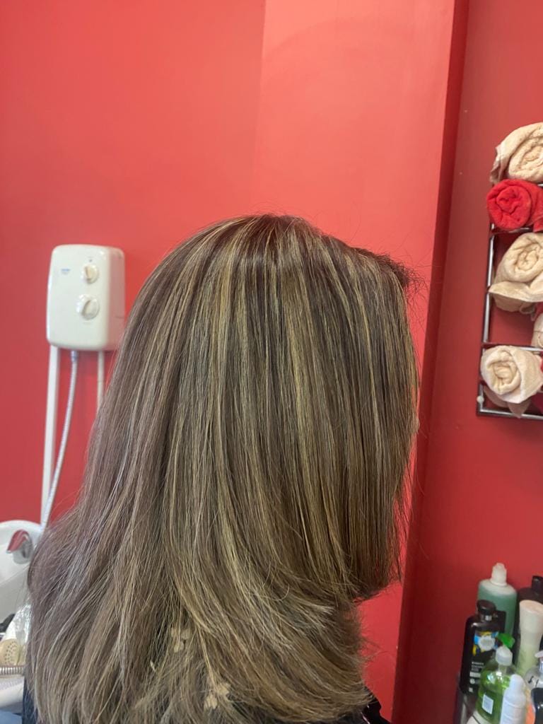 Brunette highlights